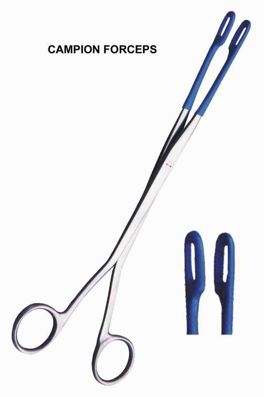 Campion Forceps